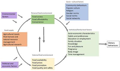 Rapid review of factors influencing dietary behaviors in Fiji